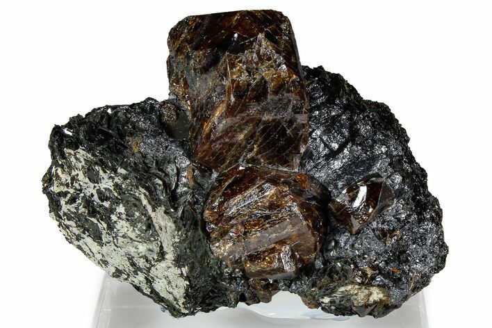 Fluorescent Zircon Crystals and Magnetite in Biotite Schist - Norway #363883